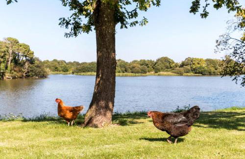 Au clos du pont, appartement relax - Foto 26