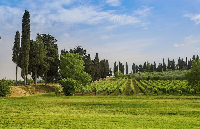 Cozy Apartment With Terrace in Tuscany - Foto 27