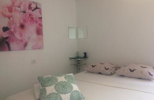 Le Jardin Darcy Liberté Hyper centre gare-ville parking public payant dans la rue - Foto 28