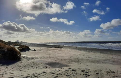 Lachmöwe by DeJu -4 Sterne DTV-Klassifizierung- - Foto 36