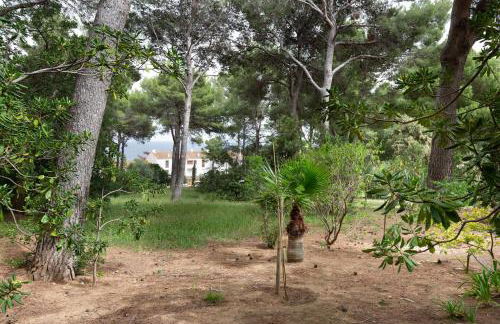 Ca la Irene I - Foto 21