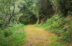 Casa O Coto - Foto 23