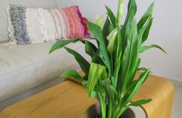 Seafront Calista Beach House With Garden - Foto 29