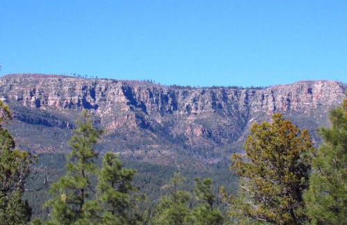 Forest Cabin 7 Seventh Heaven - Foto 17