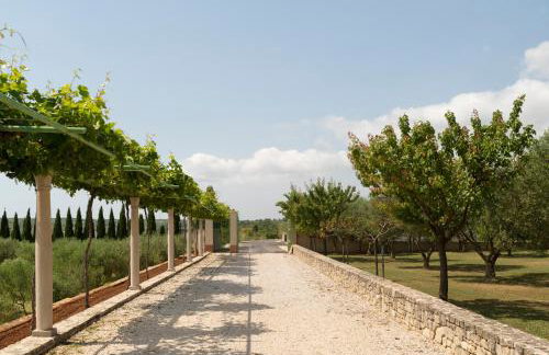 Villa Albina & Domenica - Foto 8