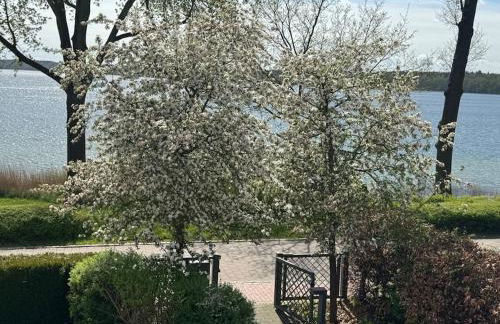 Fewo in Villa mit Seeblick OG - Foto 16