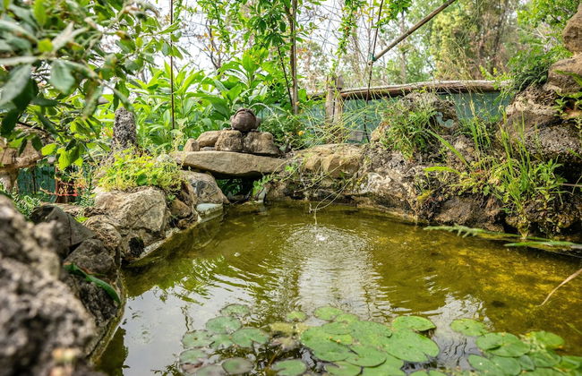 Country House Villa Nigro - Foto 50