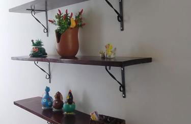 Apartamento aconchegante na serra! - Foto 15