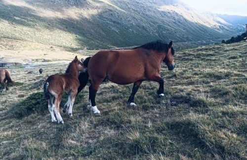 CaLQuEROL 2 penthouse in the downtown - Foto 34