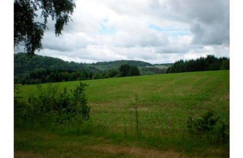 Eifelblick über dem See - Foto 15