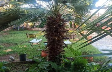 Mozart House Studio - Foto 76