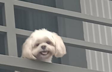 Casa Jaguary com jacuzzi - Monte Verde - Foto 14