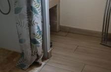 Appartement La Marmotte Compreignac - Foto 14