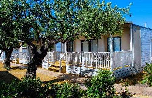 Grotta del Saraceno - Foto 23