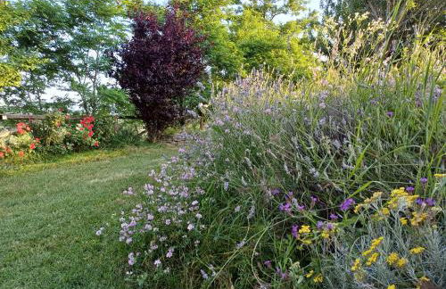 Gatti di Langa - Foto 11