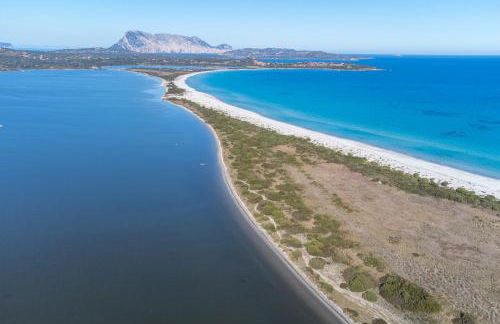 Home Residence Barbara - Foto 24