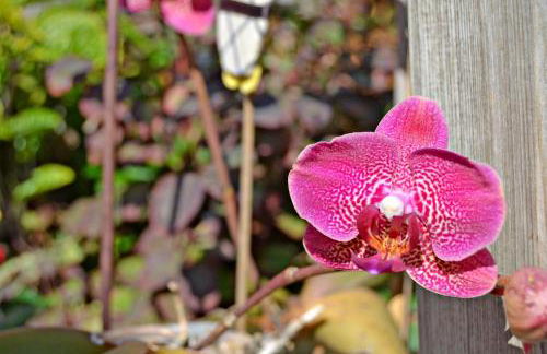 Casa Victor - Foto 6