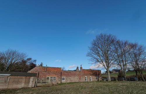 Silverbirch - Foto 16