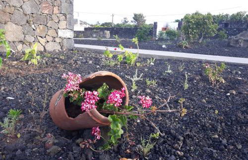 Casas do Verdelho - Photo 14