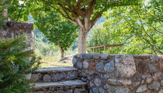 Taygeti's mountain lodge - Foto 4, Garden