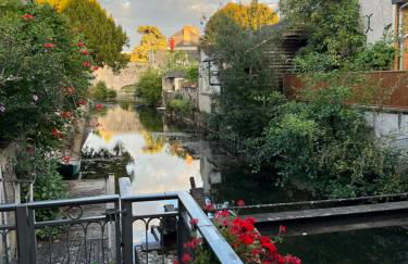 Grand loft d'artiste au coeur de Vendôme - Foto 40