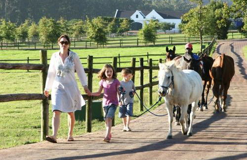 Comfortable villa lower level in Montelabbate with private pool - Photo 42