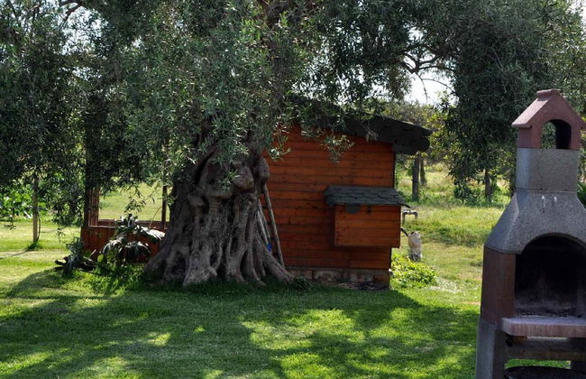 Casale Della Pergola Eco-friendly by the sea - Foto 22