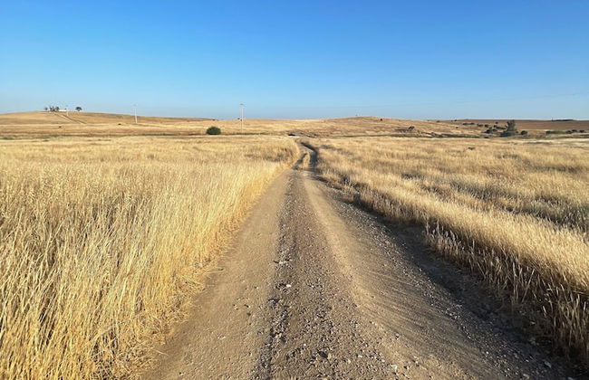 uma casa em entradas Guesthouse Alentejo - Foto 40