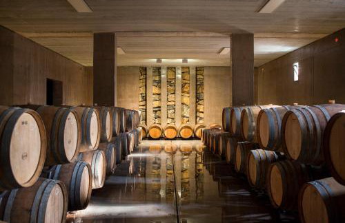 Agriturismo Tra gli Ulivi, Chiappini Winery - Photo 65