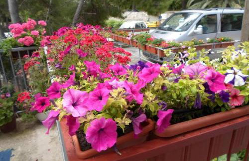 Guest House Sobra 38 - Studio with Balcony and Sea View - Foto 37