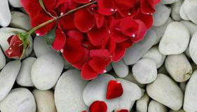 MD- Bukau, City, chic, Erdgeschoss, BESTPREIS- Leistung, für 1-5 Personen, 1 Dreibettzimmer, 1 Doppelzimmer 79 qm , Küche, Bad - Foto 4