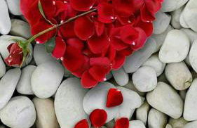 MD- Bukau, City, chic, Erdgeschoss, BESTPREIS- Leistung, für 1-5 Personen, 1 Dreibettzimmer, 1 Doppelzimmer 79 qm , Küche, Bad - Foto 4