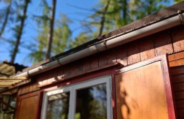 Waldidylle - Bungalows an der Talsperre Kriebstein - Foto 28