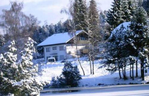 Ferienwohnung "Am Skilift" - Foto 53