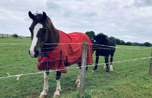 Light & Airy Vaulted Barn Conversion with a View - Photo 17