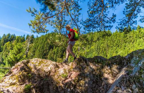 Feriendomizil am Rössleberg, Hinterzarten - Foto 35