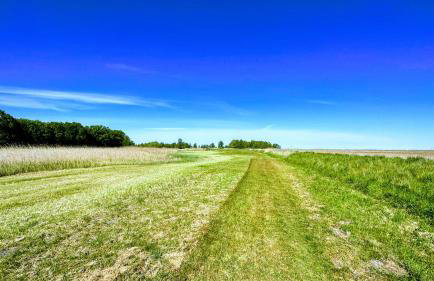 Ferienhaus Boddenblick Klausdorf Am Nationalpark - Foto 22
