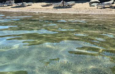 Isalos Stay Andros - Foto 20