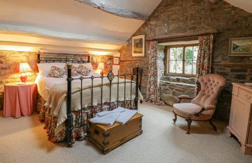 Lower Dolgenau- The Cottage - Foto 17