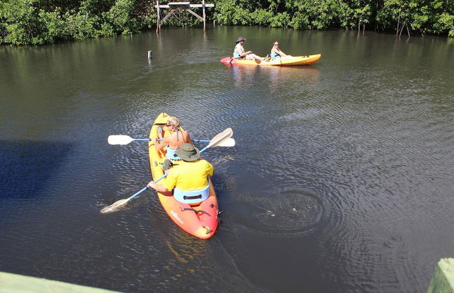 South Coast Horizons - Photo 70