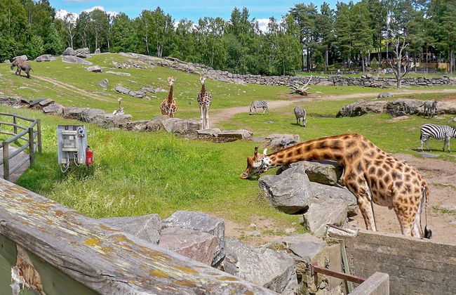 4 Person Holiday Home in Fristad - Foto 11