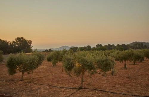 Hotel Rural Es Riquers - Foto 16