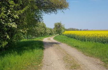 Ferienwohnung Gut Börtewitz - Foto 23