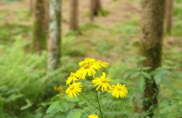 Haus Bergblick - Foto 49