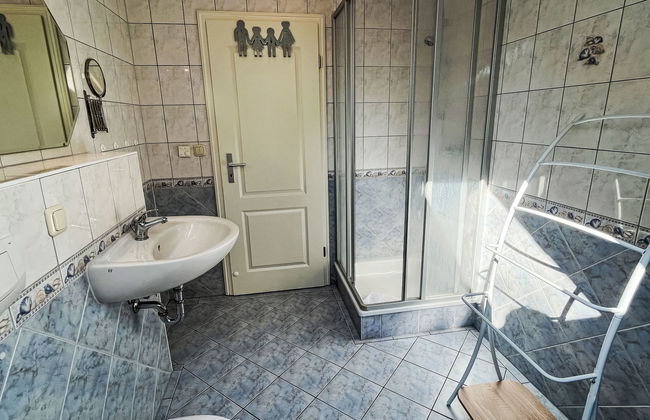 Zaunkönig - Foto 21