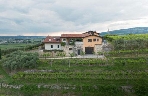 Zardo Winery - Foto 20