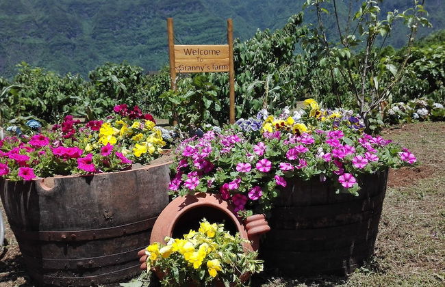 Grannys Farm - Foto 43