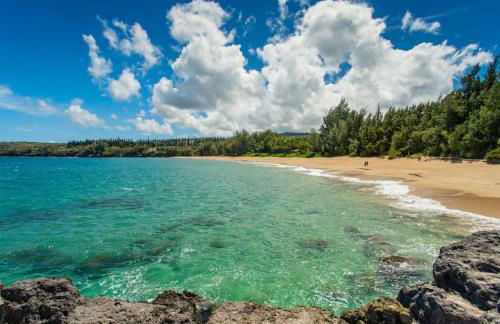 2914 Ridge - Foto 38