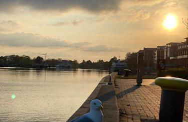 Ferienwohnung Möwenblick - Foto 51