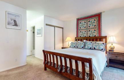 Summit Condominium #273 Condo - Foto 19